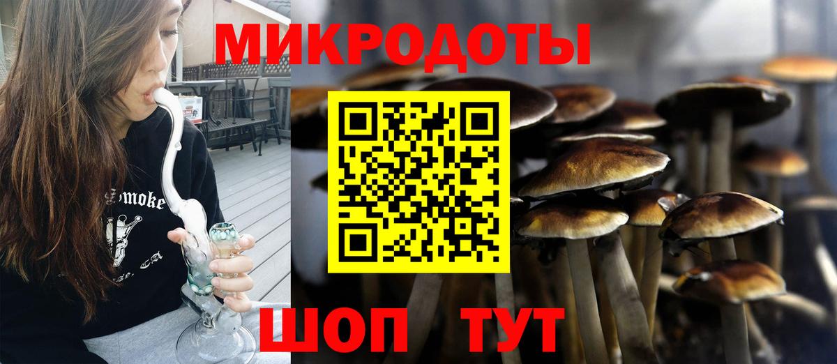Псилоцибиновые грибы Cubensis  Вход с VPN  Галлюциногенные грибы мухоморы  Феодосия 
